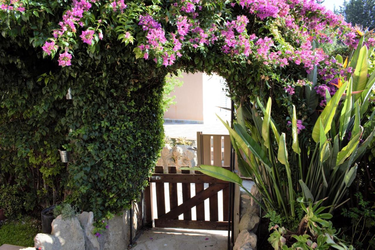 Townhouse In Paradise Gardens 파포스 외부 사진